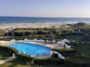 Studio Cabine avec Terrasse et Piscine à 100m de la Plage à La Grande Motte - FR-1-716-56